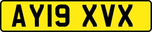 AY19XVX