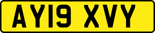 AY19XVY