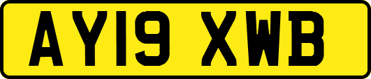 AY19XWB