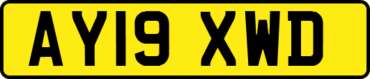 AY19XWD