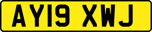 AY19XWJ
