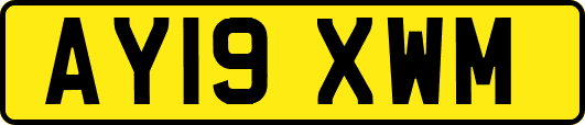 AY19XWM