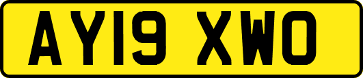 AY19XWO