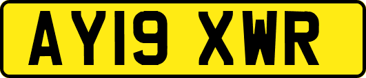 AY19XWR