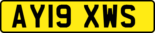 AY19XWS