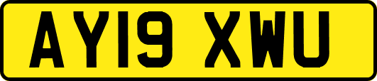 AY19XWU