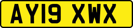 AY19XWX