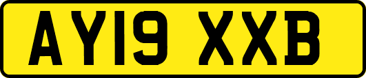 AY19XXB