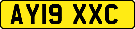 AY19XXC