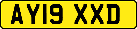 AY19XXD