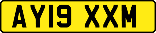 AY19XXM
