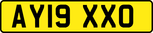 AY19XXO