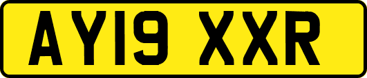 AY19XXR