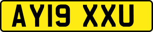 AY19XXU