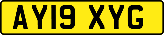 AY19XYG