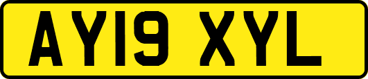 AY19XYL