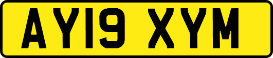 AY19XYM