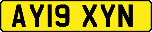 AY19XYN