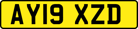 AY19XZD