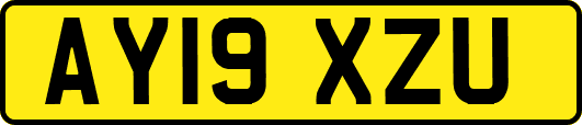 AY19XZU