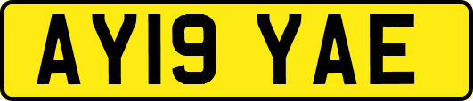 AY19YAE