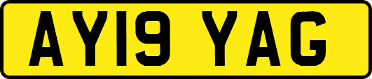 AY19YAG