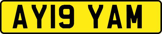 AY19YAM