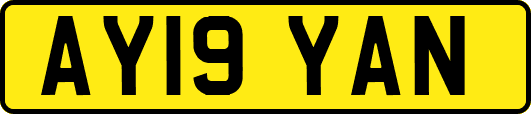 AY19YAN
