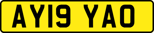AY19YAO