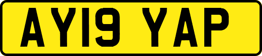 AY19YAP