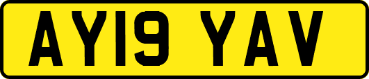 AY19YAV