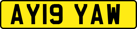 AY19YAW
