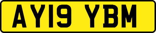 AY19YBM