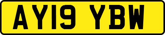 AY19YBW