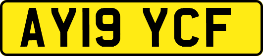 AY19YCF