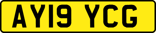 AY19YCG