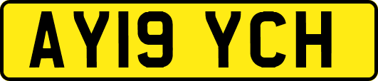 AY19YCH