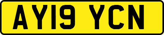 AY19YCN