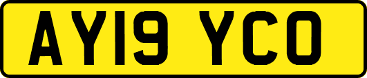 AY19YCO