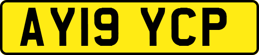 AY19YCP