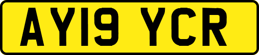 AY19YCR