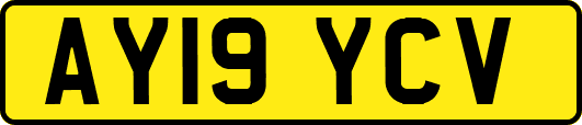 AY19YCV