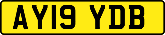 AY19YDB