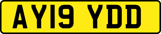 AY19YDD