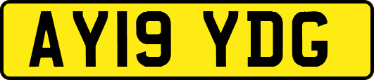 AY19YDG
