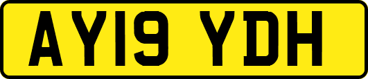 AY19YDH