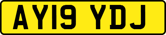 AY19YDJ