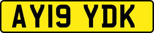 AY19YDK