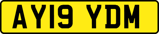 AY19YDM