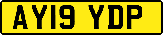 AY19YDP